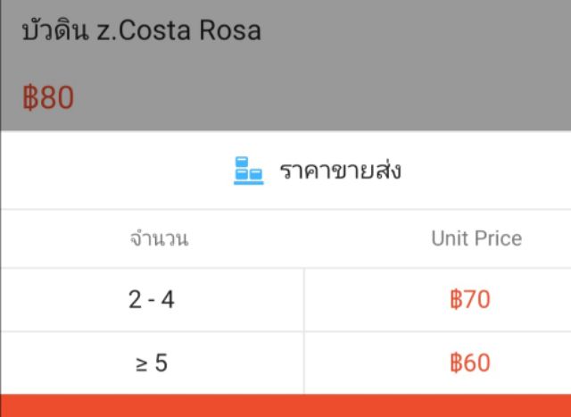 บัวดิน-z-costa-rosa