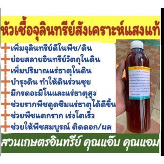 หัวเชื้อ จุลินทรีย์สังเคราะห์แสง เข้มข้น ขนาด 0.5 ลิตร ของแท้ เร่งโต เร่งดอก เร่งผล ดินร่วนซุย ใช้ร่วมกับชีวภาพอื่นได้