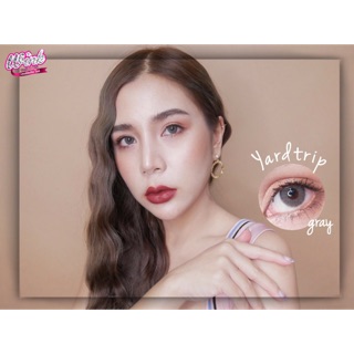 ✨ Yard Trip / Yardthip Gray ✨Wink Lens ✨ คอนแทคเลนส์สีเทา สายตาปกติ สีเทา ขอบฟุ้ง สายฝอ Contact Lens Dia 14.2 หยาดทิพย์