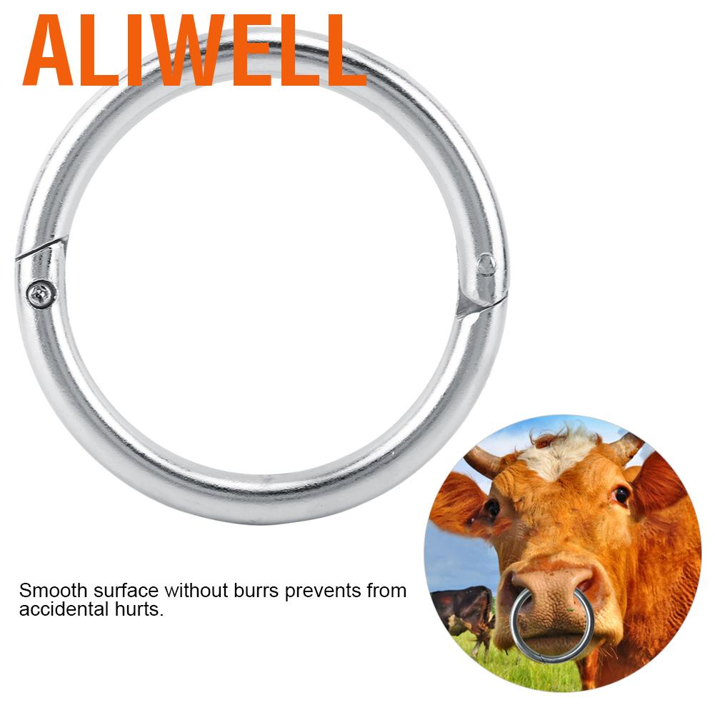 แหวนจมูกวัว-วัว-สเตนเลส-ขนาด-7-7-ซม-อุปกรณ์เสริมฟาร์มสามี-ฟาร์มสัตว์