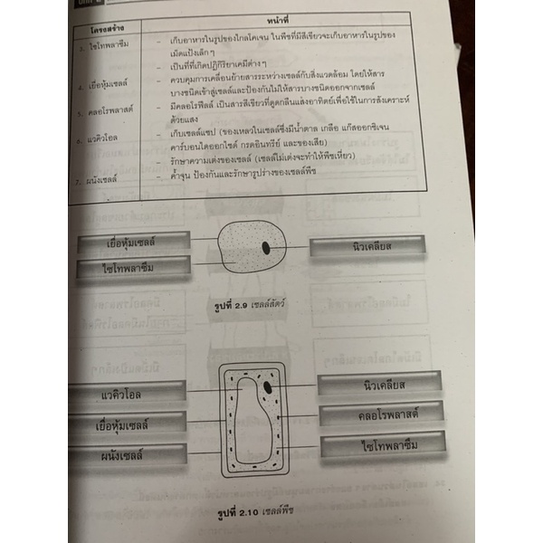 วิทยาศาสตร์-พื้นฐานชั้น-ม3-มือ-2