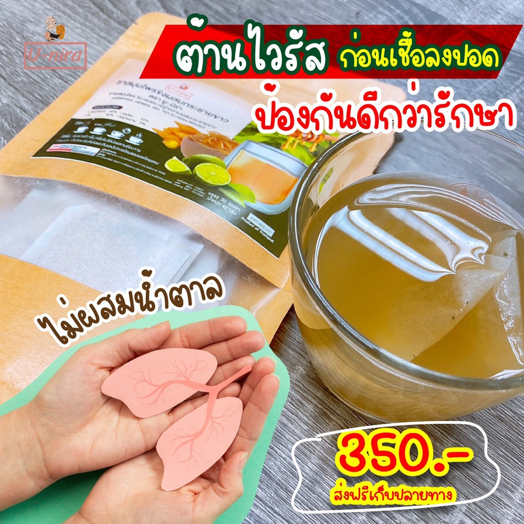 ชากระชายขาว-ป้องกันหวัด-ลดระดับน้ำตาล-ช่วยลดไขมันในเลือด-ความดันโลหิตสูง