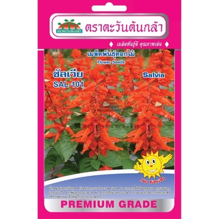 เมล็ดพันธ์ุ ซัลเวีย SAL-101 บรรจุ 0.05 กรัม/ซอง ตราตะวันต้นกล้า