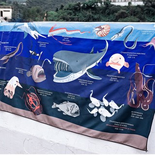 ผ้าเช็ดตัว Microfiber สัตว์ทะเลน้ำลึก Oceanarium