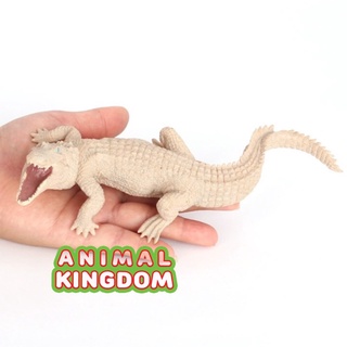 Animal Kingdom - โมเดลสัตว์ จระเข้ เผือก ขนาด 20.50 CM (จากสงขลา)