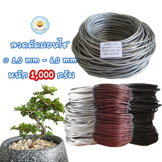 ถูกที่สุด ลวดดัดบอนไซ 1,000 กรัม ⌀1mm-6mm เหนียว ยืดหยุ่น ไม่เป็นสนิม ลวดอลูมิเนียม คุณภาพดี Bonsai Wire alicdolly