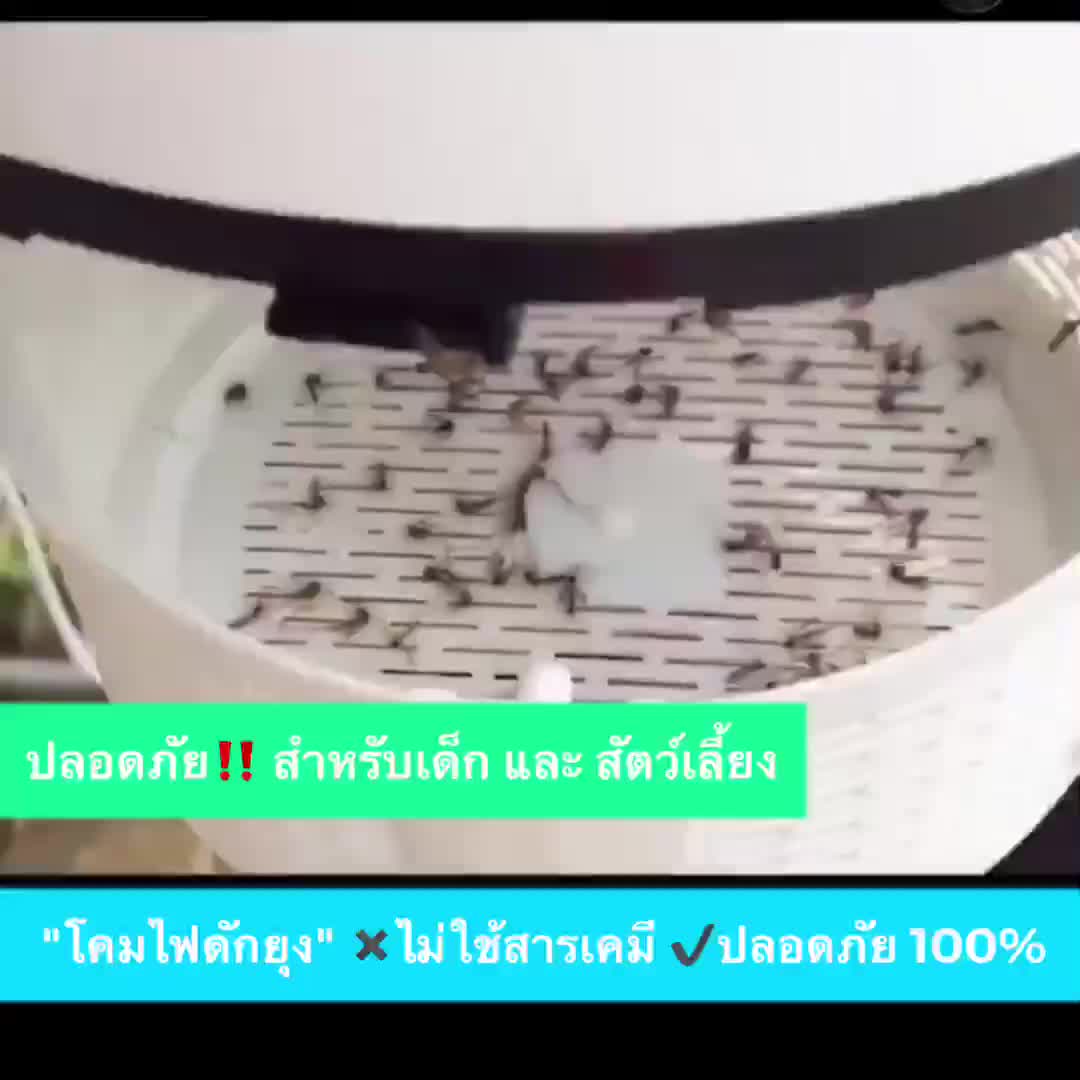 โคมไฟดักจับยุง-โคมไฟป้องกันยุง-ที่จับยุง