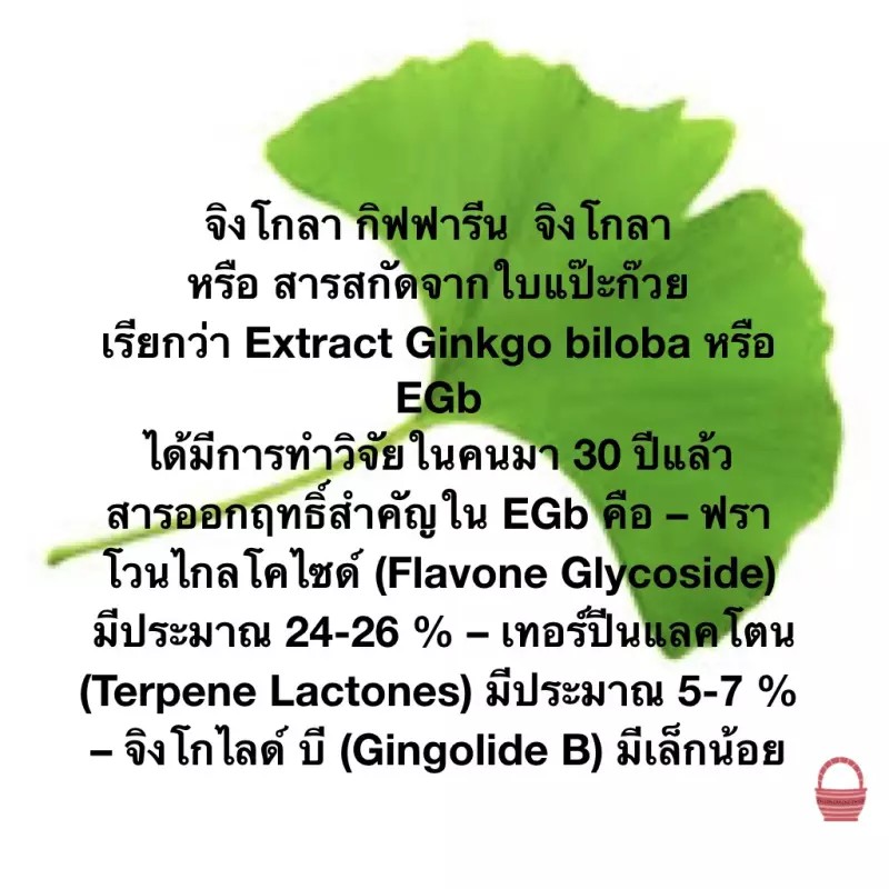 จิงโกลา-ผลิตภัณฑ์เสริมอาหาร-สารสกัดจากใบแปะก๊วย-ชนิดแคปซูล-ตรา-กิฟฟาริน-giffarine-ginkola-แพ็ก-1-กระปุก