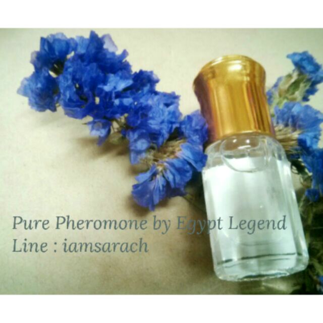 View of Pure Pheromone From Egypt Legend ฟีโรโมนบริสุทธิ์ผสานกลิ่นดอกไม้อ่อนๆ ...