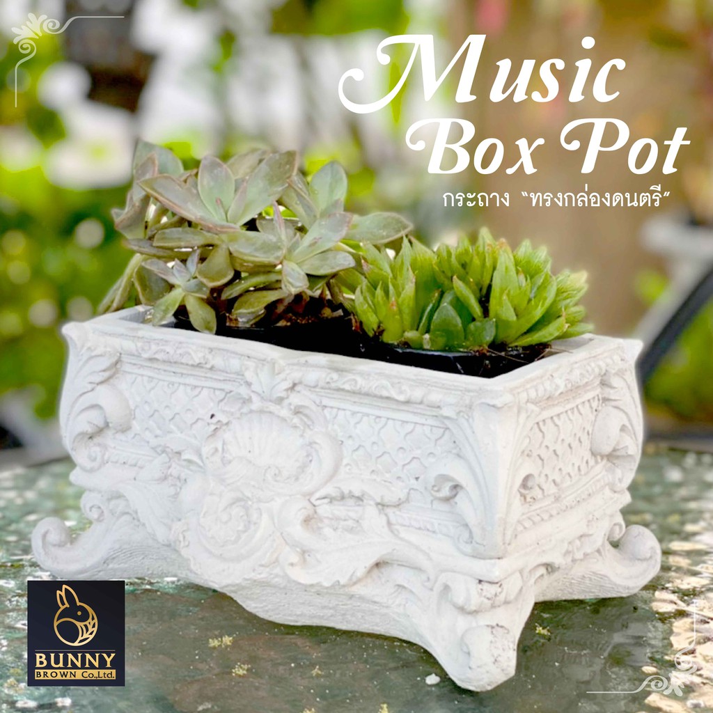 music-box-pot-กระถาง-ทรงกล่องดนตรี-ปูนปั้น-จัดสวน-ประดับสวน-แต่งสวน-bunny-brown