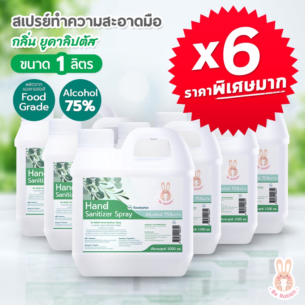 ซื้อ-x6-ราคาดี-สเปรย์-แอลกอฮอล์-75-ขนาด-1000-ml-กลิ่น-ยูคาลิปตัส-food-grade