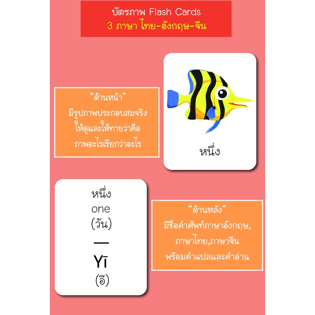 บัตรภาพ-flash-cards-ตัวเลข