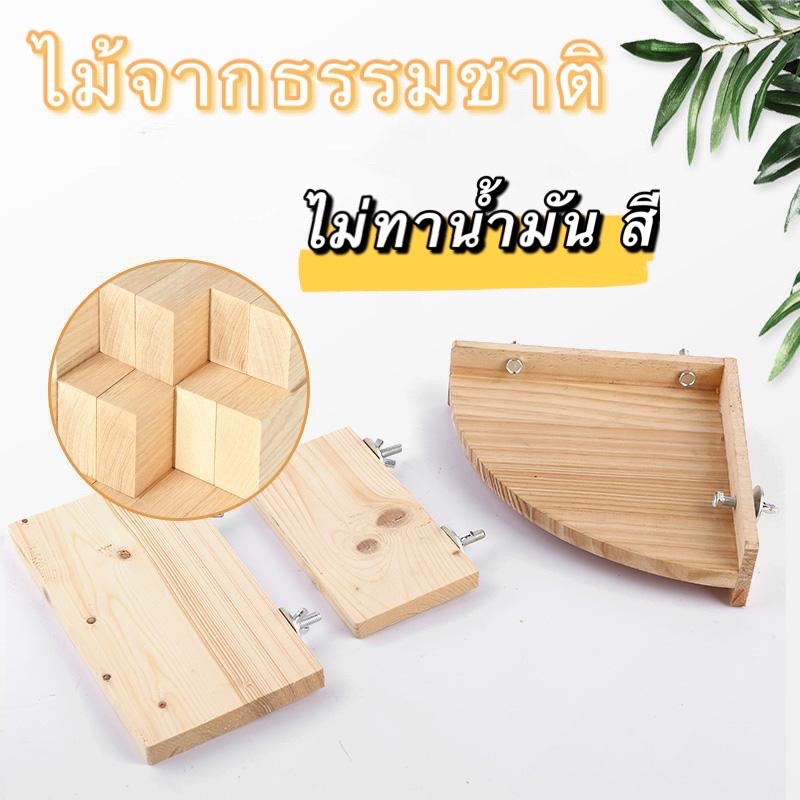 ภาพสินค้าH-13 แท่นไม้ ไม้จากธรรมชาติ ไม่ทาน้ำมัน สีติดตั้งในกรง สำหรับนกแก้วยืน หนูแฮมสเตอร์ ชูการ์ไกรเดอร์ กระรอก ลิงมาโมเสท จากร้าน littlewingstories บน Shopee ภาพที่ 5