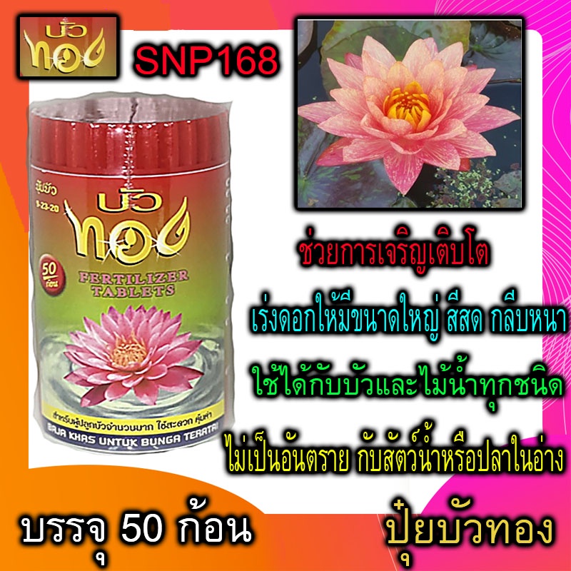 ปุ๋ยบัว-ตราบัวทอง-เร่งดอก-เร่งสี-ขนาด50ก้อน