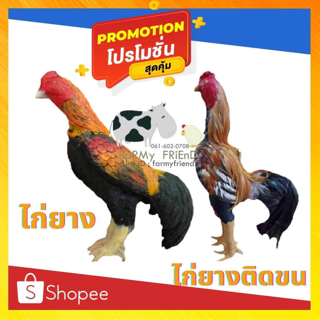 ไก่ยาง-ไก่ปลอม-ไก่ล่อ-ไก่นวม