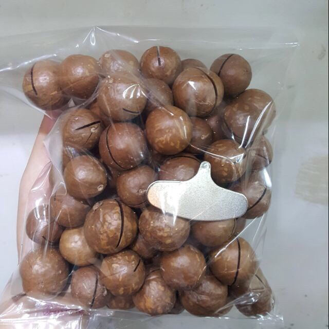 แมคคาเดเมีย-มีเปลือก-ปริมาณ-500-กรัม-พร้อมทาน-ถั่วแมคคาเดเมีย-macadamia