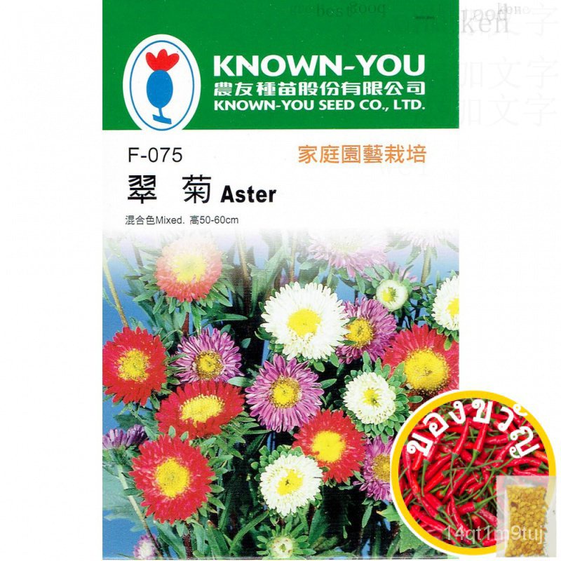 เมล็ดราชอาณาจักร-aster-สีผสม-ดอกไม้เมล็ด-มิตรชาวนาแบรนด์-แพคเกจขนาดเล็กเมล็ด-เกี่ยวกับ80เม็ด-แพคเกจแม่และเด็ก-ผักกาดหอม