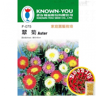 เมล็ดราชอาณาจักร Aster สีผสม【ดอกไม้เมล็ด】 มิตรชาวนาแบรนด์ แพคเกจขนาดเล็กเมล็ด เกี่ยวกับ80เม็ด/แพคเกจแม่และเด็ก/ผักกาดหอม