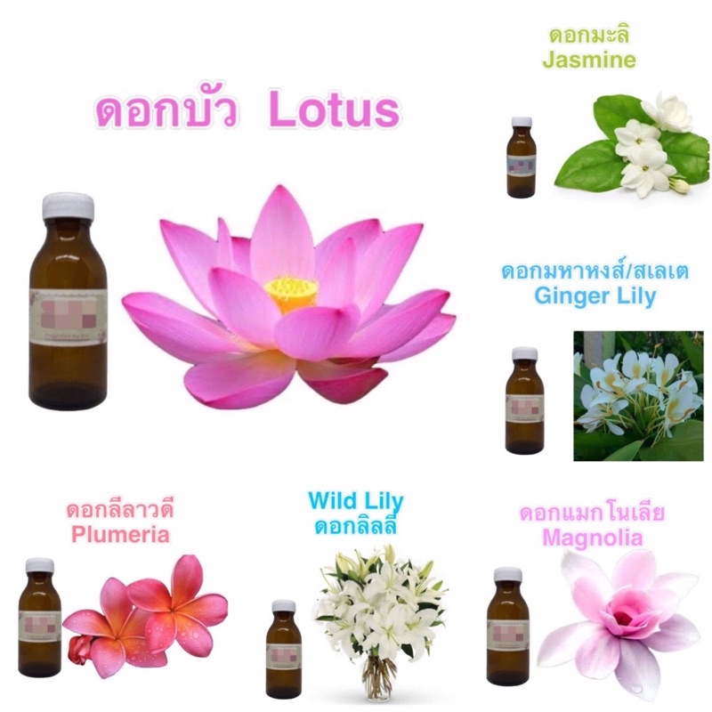 หัวน้ำหอมกลิ่นดอกไม้นานาชนิด-fragrance-oil-ทั้งดอกไม้ไทยและต่างประเทศ