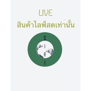 LIVE มือ1 แบรนด์ ชีอิน shein เสื้อ เดรส น่ารัก สายฝอ