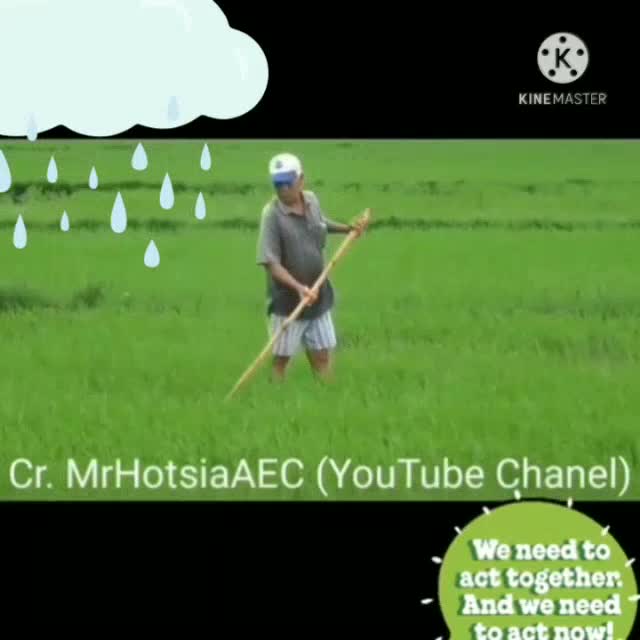 ไม้ย้ายต้นข้าว-ซ่ามข้าว-แซมข้าว-ใช้ได้ง่าย-ต่อด้ามตามความถนัดได้ครับ