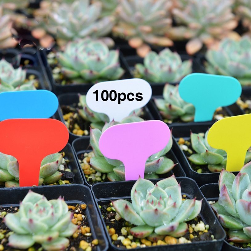 finelife-ป้ายแท็กพลาสติก-รูปตัว-t-ขนาด-5-7-ซม-สําหรับตกแต่งสวน-100-ชิ้นt-shaped-plastic-garden-tags
