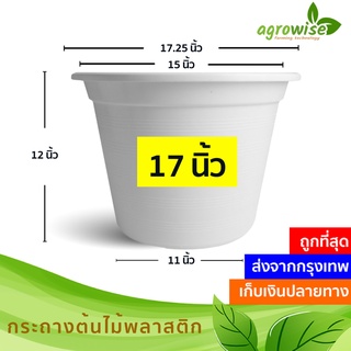 ภาพหน้าปกสินค้า🌵 กระถางต้นไม้พลาสติก กระถางต้นไม้ สีขาว 17 นิ้ว ราคาส่ง ซึ่งคุณอาจชอบราคาและรีวิวของสินค้านี้