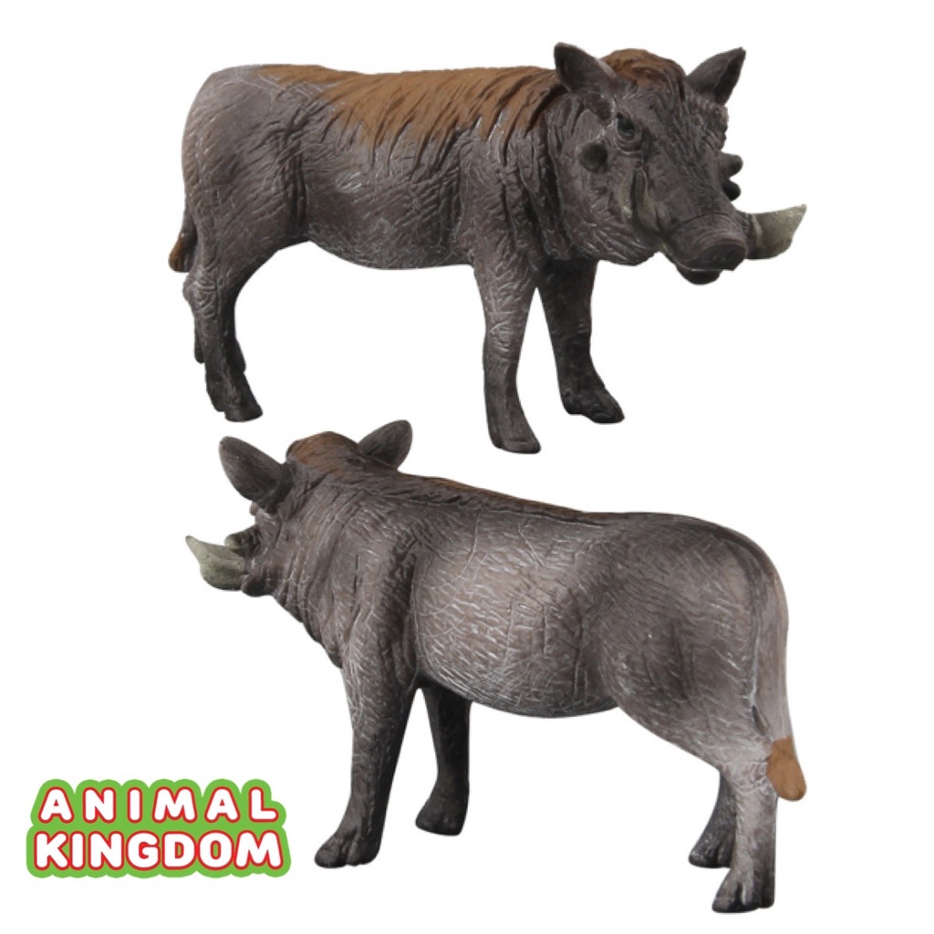 animal-kingdom-โมเดลสัตว์-หมูป่า-พ่อแม่ลูก-ชุด-3-ตัว-จากหาดใหญ่