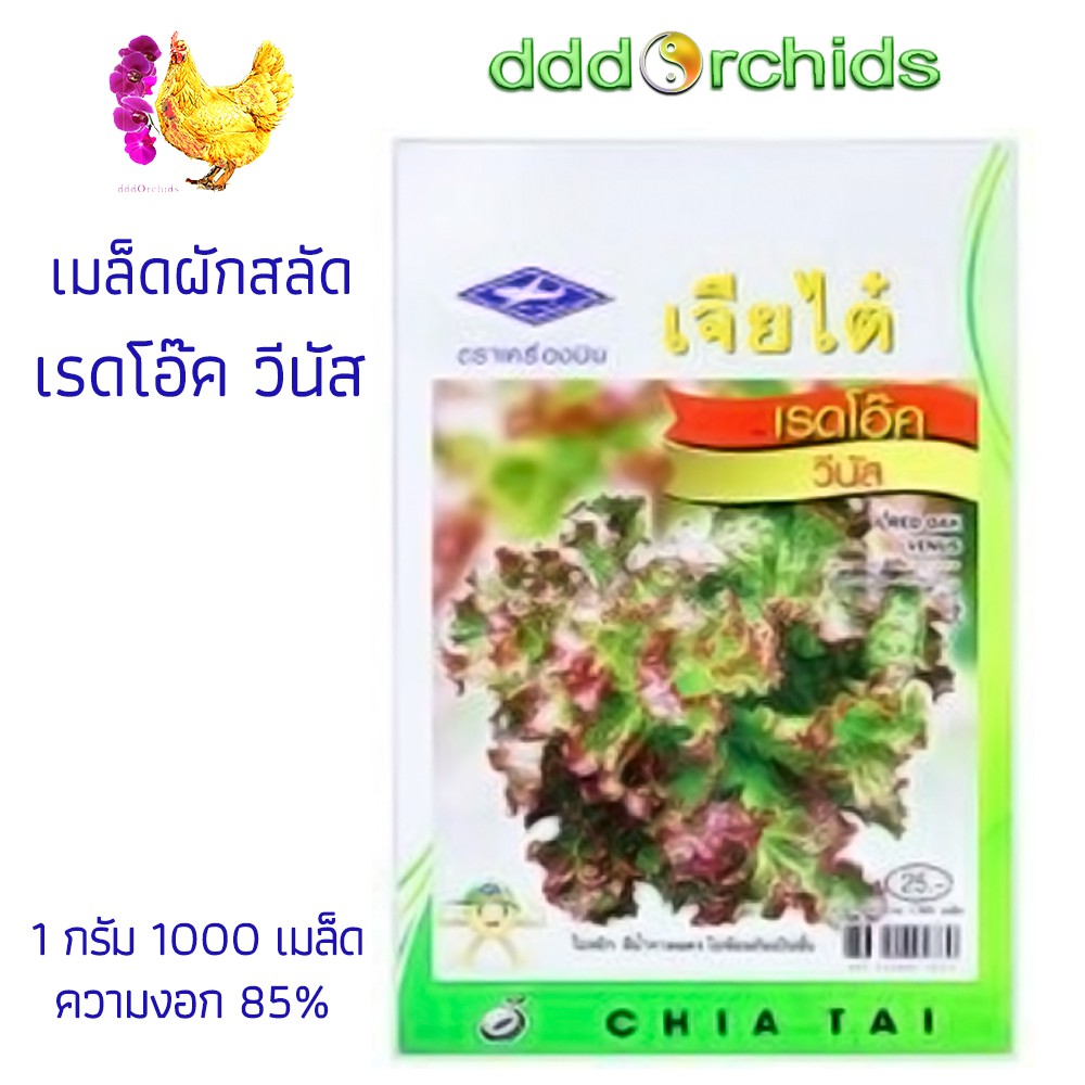 เมล็ดพันธุ์ผักสลัด-เรดโอ๊ค-วีนัส-1-ซอง-1-กรัม-จำหน่ายโดย-ร้าน-dddorchids