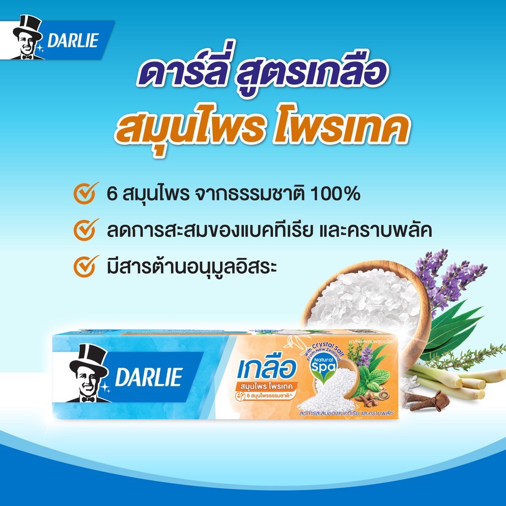 แพ็คคู่-x2-สุดคุ้ม-darlie-salt-herbal-protect-toothpaste-ดาร์ลี่-เกลือ-ยาสีฟัน-สูตรสมุนไพรโทค-140-กรัม