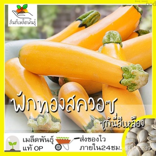 เมล็ดอวบอ้วน100%เมล็ดพันธุ์ ฟักทองสควอซ ซูกินี่สีเหลือง 20 เมล็ด Golden Zucchini Squash Seed เมล็ดพันธุ์แท้100%นำเข้าจาก