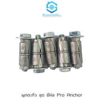 พุกตะกั่ว ยี่ห้อ Pro Anchor 1/4(2หุน) ยกชุด(น๊อต+แหวน 5/ชุด) สำหรับยึดชิ้นงานกับผนัง เพดาน