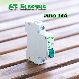 ภาพขนาดย่อของภาพหน้าปกสินค้าลูกย่อย ลูกเซอร์กิตเบรกเกอร์ CT Electric 1Ploe สำหรับตู้แบบรางDIN 10A,16A,20A,32A จากร้าน comamg บน Shopee ภาพที่ 4