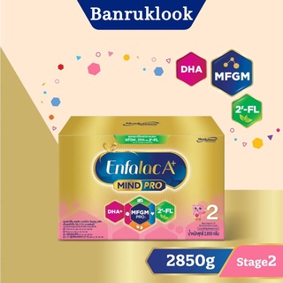 Enfalac เอนฟาแล็ค เอพลัส สูตร 2 นมผง สำหรับ เด็กแรกเกิด อายุ 6 เดือน - 3 ปี 2850กรัม(1กล่อง)