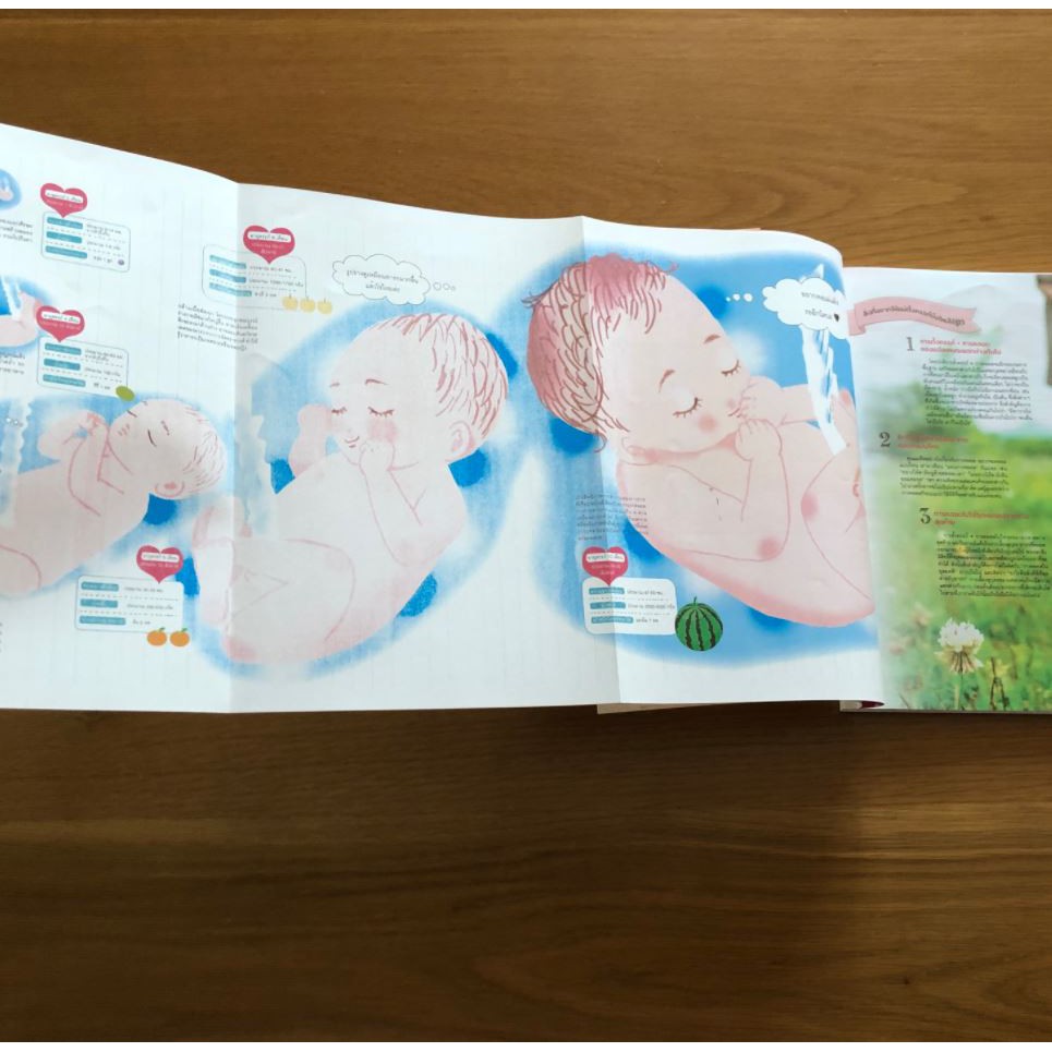 คู่มือตั้งครรภ์-คลอด-สไตล์คุณแม่ญี่ปุ่น-pregnancy-amp-childbirth-guide-sandclock-books