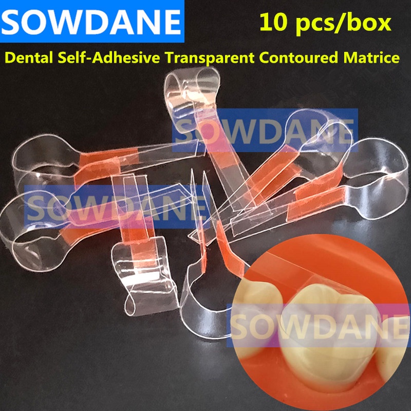 dental-self-adhesive-transparent-sectional-contoured-matrix-twin-anterior-matrice-matrix-for-premolar-molars-polyester-m