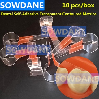 Dental Self-Adhesive Transparent Sectional Contoured Matrix Twin Anterior Matrice Matrix for Premolar Molars Polyester M