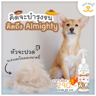 ภาพหน้าปกสินค้าAlmighty Pet Salmon Oil : น้ำมันปลาแซลมอน สูตรพรีเมี่ยม บำรุงเส้นขนและผิวหนัง สำหรับสัตว์เลี้ยง ที่เกี่ยวข้อง