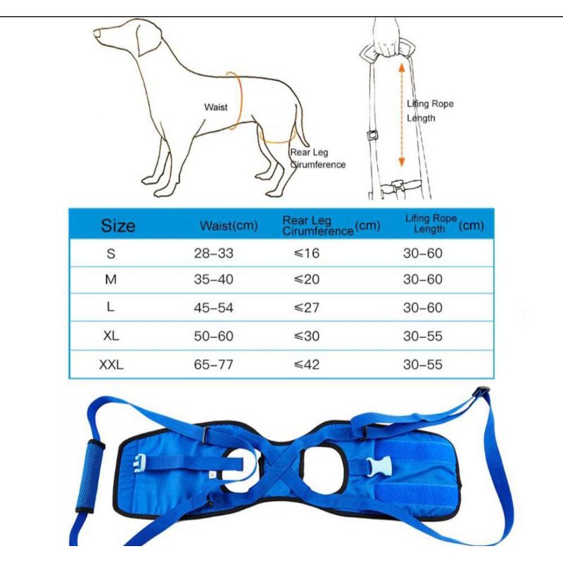 อุปกรณ์พยุงขาหลังสุนัข-อุปกรณ์กายภาพสุนัข-อุปกรณ์พยุุงตัวสุนัข-อุปกรณ์ประคองสุนัข-กางเกงพยุงขาหลังสุนัข