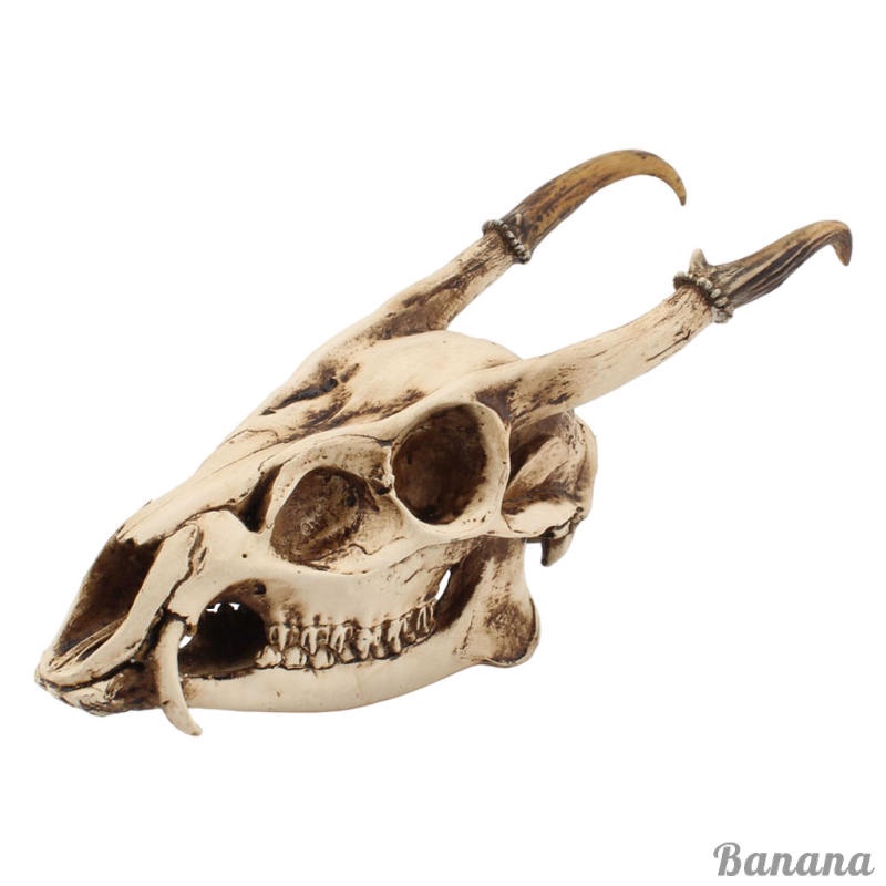 hot-goat-skull-head-sculpture-bone-model-resin-animal-vintage-style-creative-figurines-viking-gothic-for-party-kitchen-bedroom-home-decor-living-room