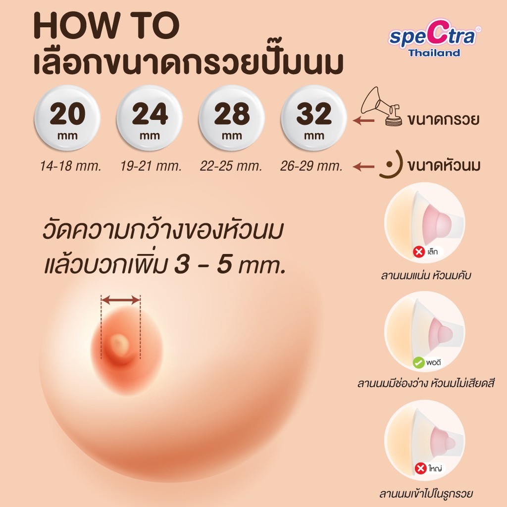 spectra-standard-breast-shield-set-อุปกรณ์สำหรับเครื่องปั๊มนม-spectra-dew350-dew300