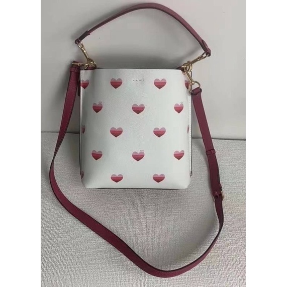 coach-mollie-bucket-bag-22-with-stripe-heart-print-ca249