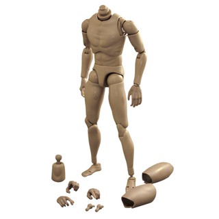 ฟิกเกอร์ Narrow Shoulder 1 : 6 Scale Action Figure Male rude