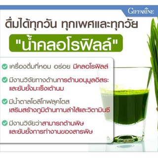 ภาพขนาดย่อของภาพหน้าปกสินค้าส่งฟรี คลอโรฟิลล์ กิฟฟารีน Chlorophyll Giffarine 1 ซอง ผสมน้ำ 1.5 ลิตร จากร้าน w_shop11 บน Shopee ภาพที่ 4