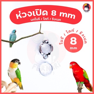 ห่วงขานก ห่วงเปิดคล้องขานก 8 mm🔥พร้อมส่ง!!!🦜ห่วงขานกแก้ว โนรี ไคท์ ริงเนค