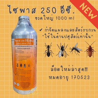 ไซพาส 250 อีซี. Cypas ขวดใหญ่ 1 ลิตร (1000ml) 🔥พร้อมส่ง🔥 ของแท้ 💯% กำจัดแมลง ยุง แมลงสาบ แมลงวัน พ่นยุง
