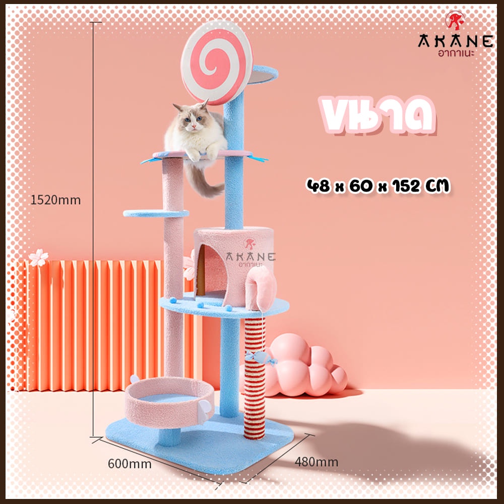 akane-คอนโดแมว-บ้านแมว-ที่ลับเล็บแมว-no-sc09-คอนโดแคนดี้-มาพร้อมเสาลับเล็บ-ที่นอนแมวน่ารักๆ-ของเล่นสัตว์เลี้ยง