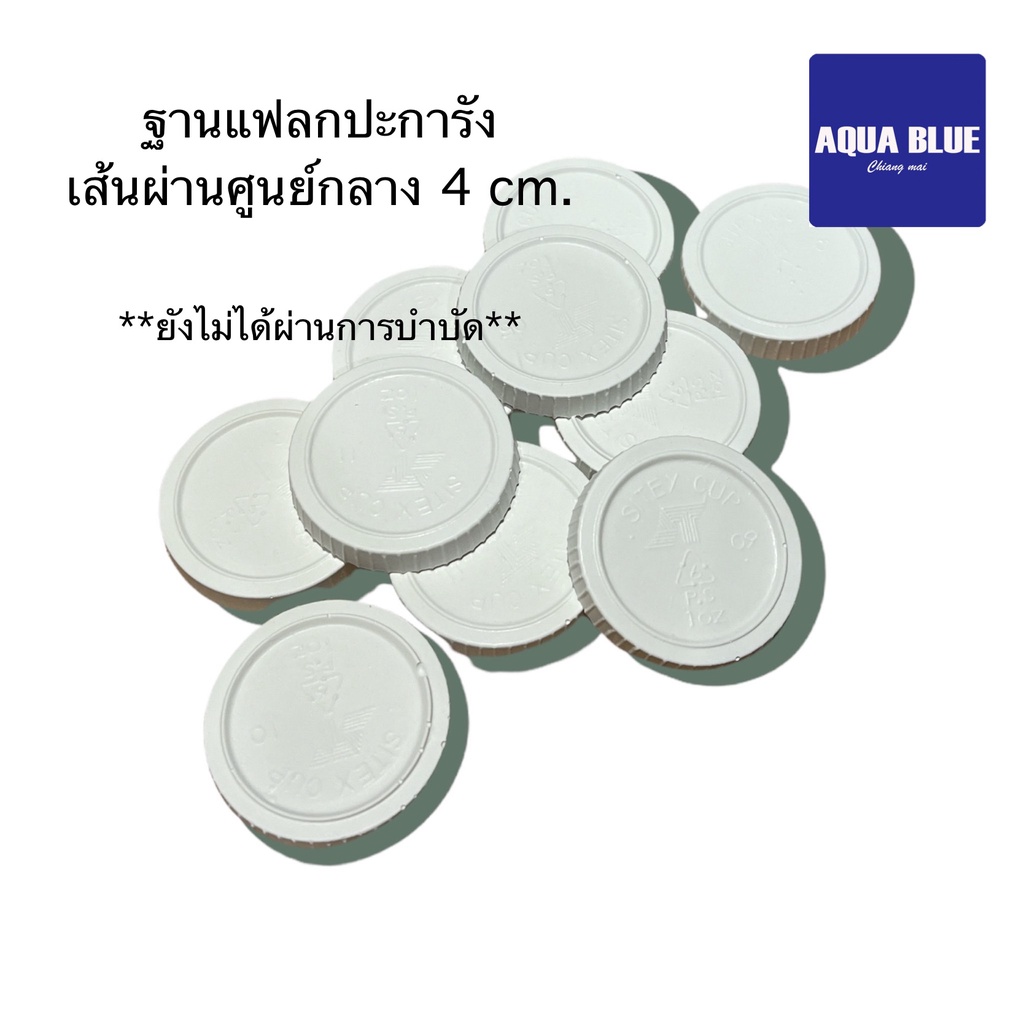 ฐานแฟรกปะการัง-4-cm