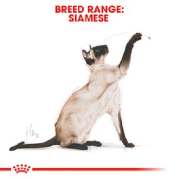 royal-canin-cat-siamese-2-kg-รอยัลคานิน-อาหารเม็ดแมว-วิเชียรมาศ-แมวไทย-อาหารแมวโต-อาหารแมว-แมว