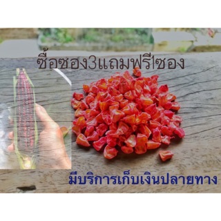 เมล็ดพันธ์ุข้าวโพดหวาน ราชินีทับทิมสยาม(พันธ์ุแท้100%)